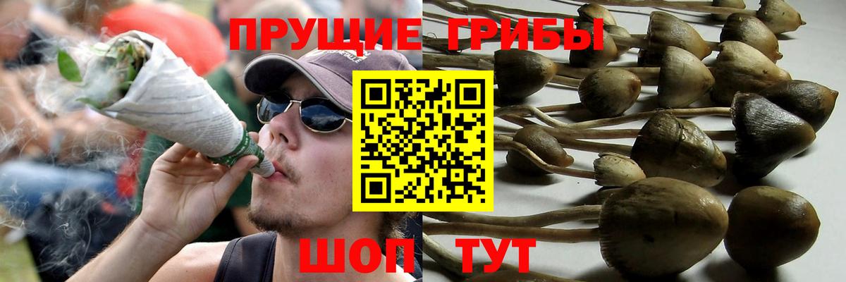 Галлюциногенные грибы Cubensis  Вход с VPN  Котельники 